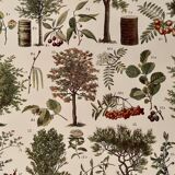 Lithograph on trees from 1928 (poplar)