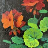 Geraniums