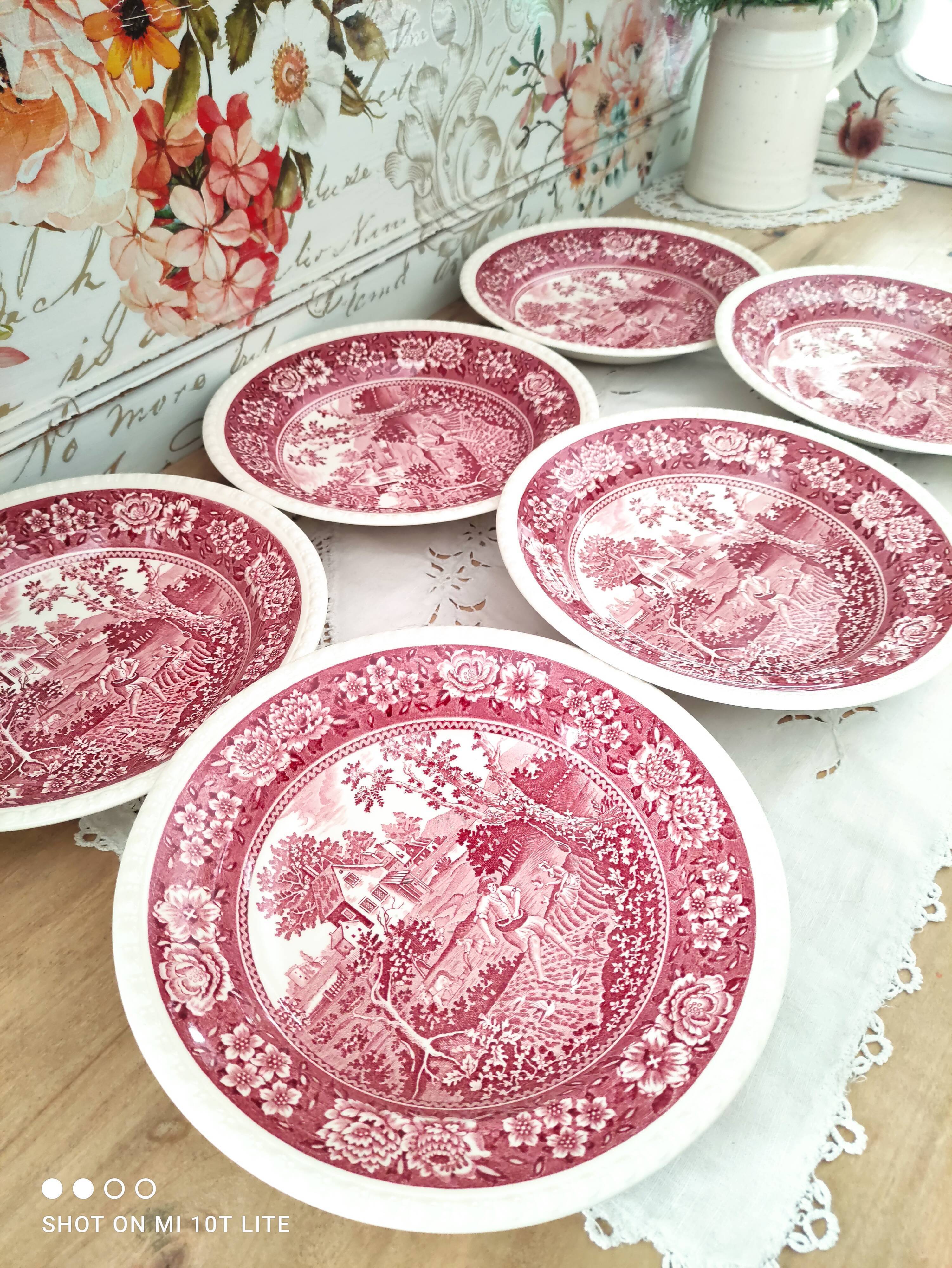 Set of 6 hollow plates in opaque porcelain Villeroy & Boch model Rusticana red English décor