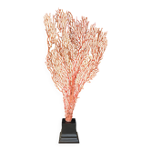Gorgone Rouge/Orange Socle en bois noir. H : 36 cm