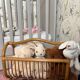 Wicker magazine rack