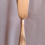 Cake shovel