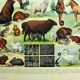 Lithgraphie ancienne 1928 A. Millot - Animaux a fourrures