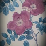 Litho Rose Eglantier