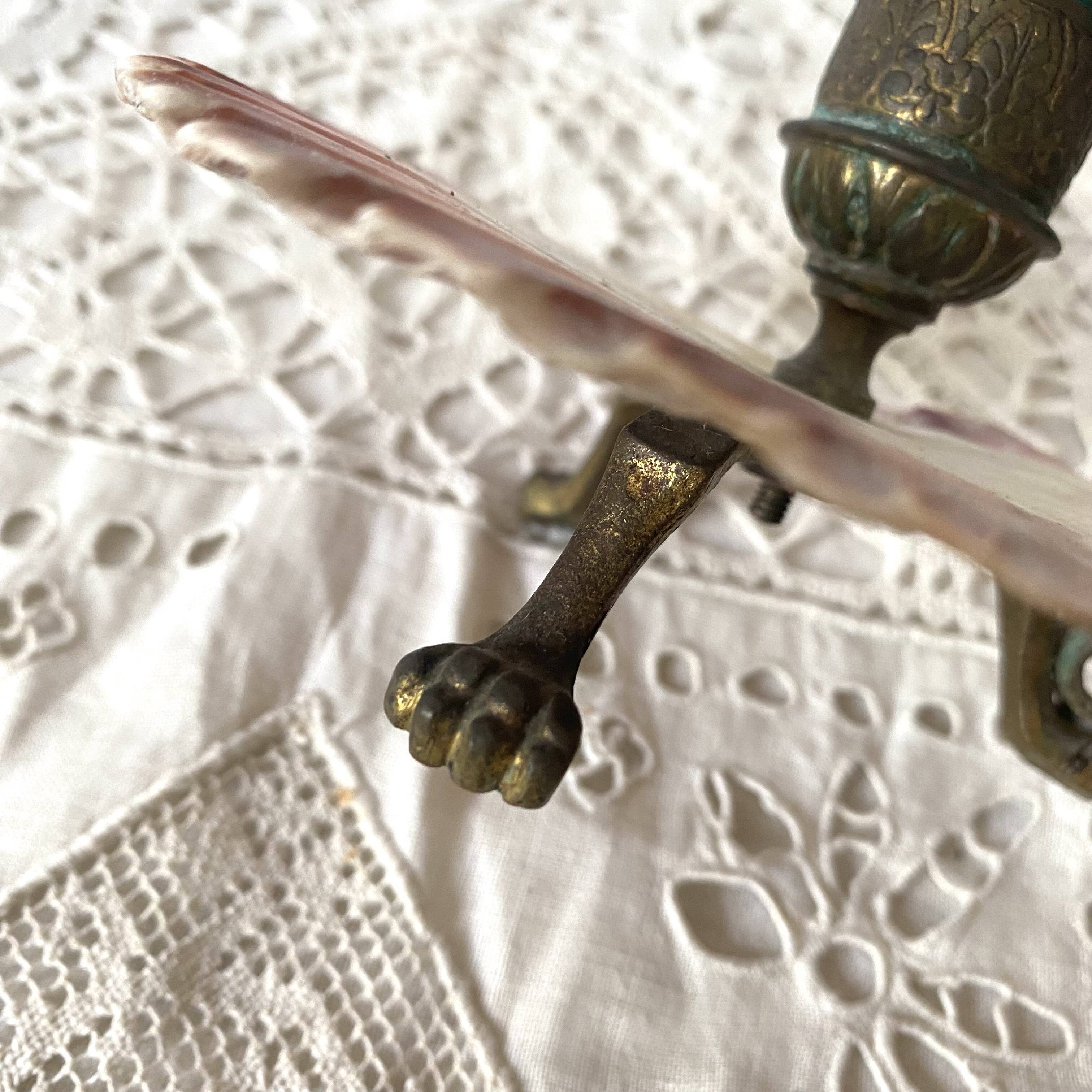 Scallop shell and lion paws candle holder