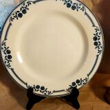 Plate iron earth Salins