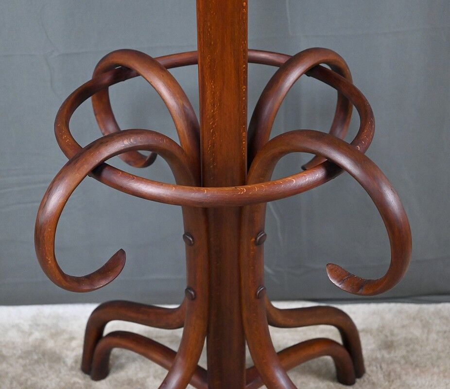Large curved beech coat rack in the Thonet style – early 20th century