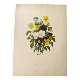 Antique botanical engraving -1955- Bouquet of pansies- by PJ. Redouté. Vintage flower