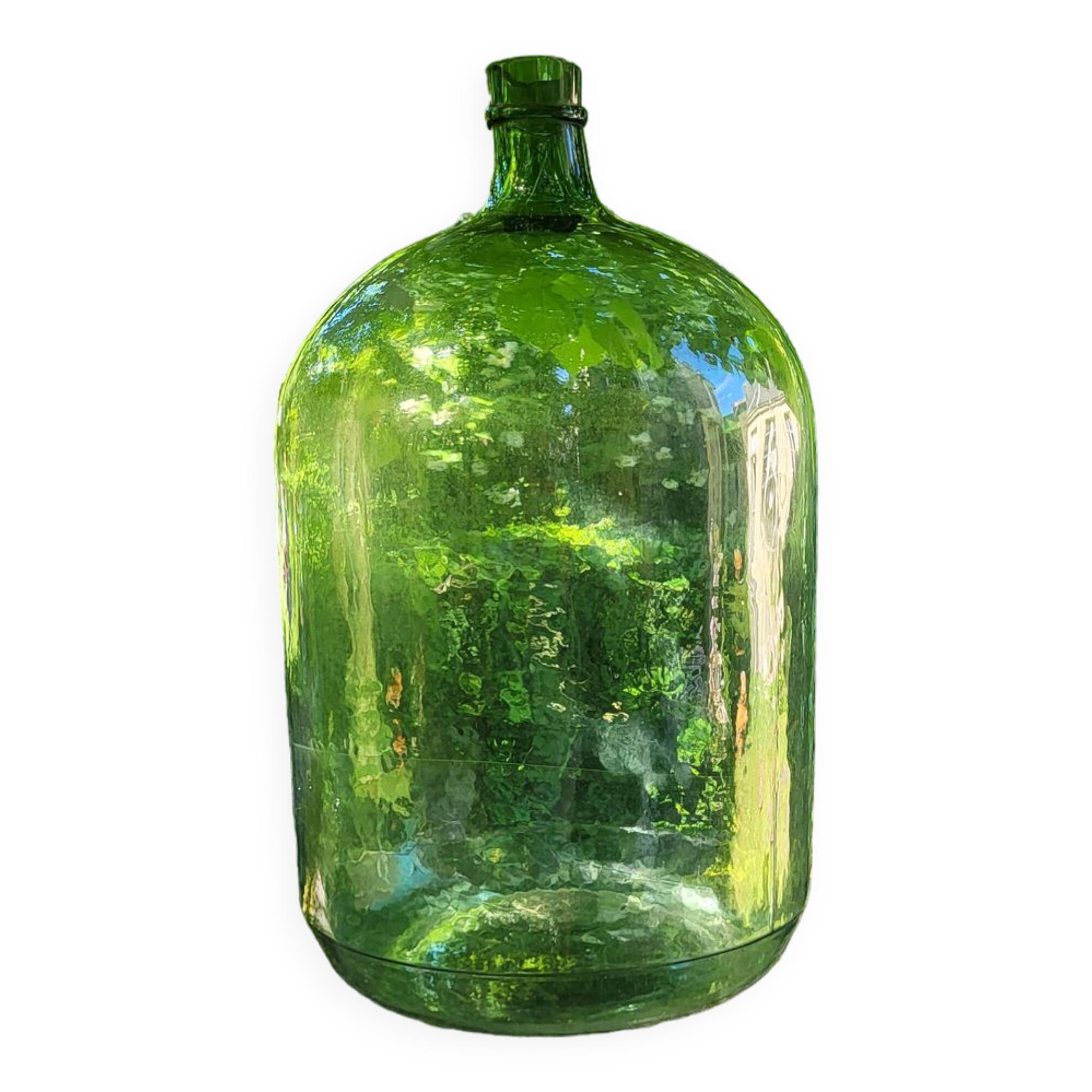Lady Jeanne / 22 L carboy