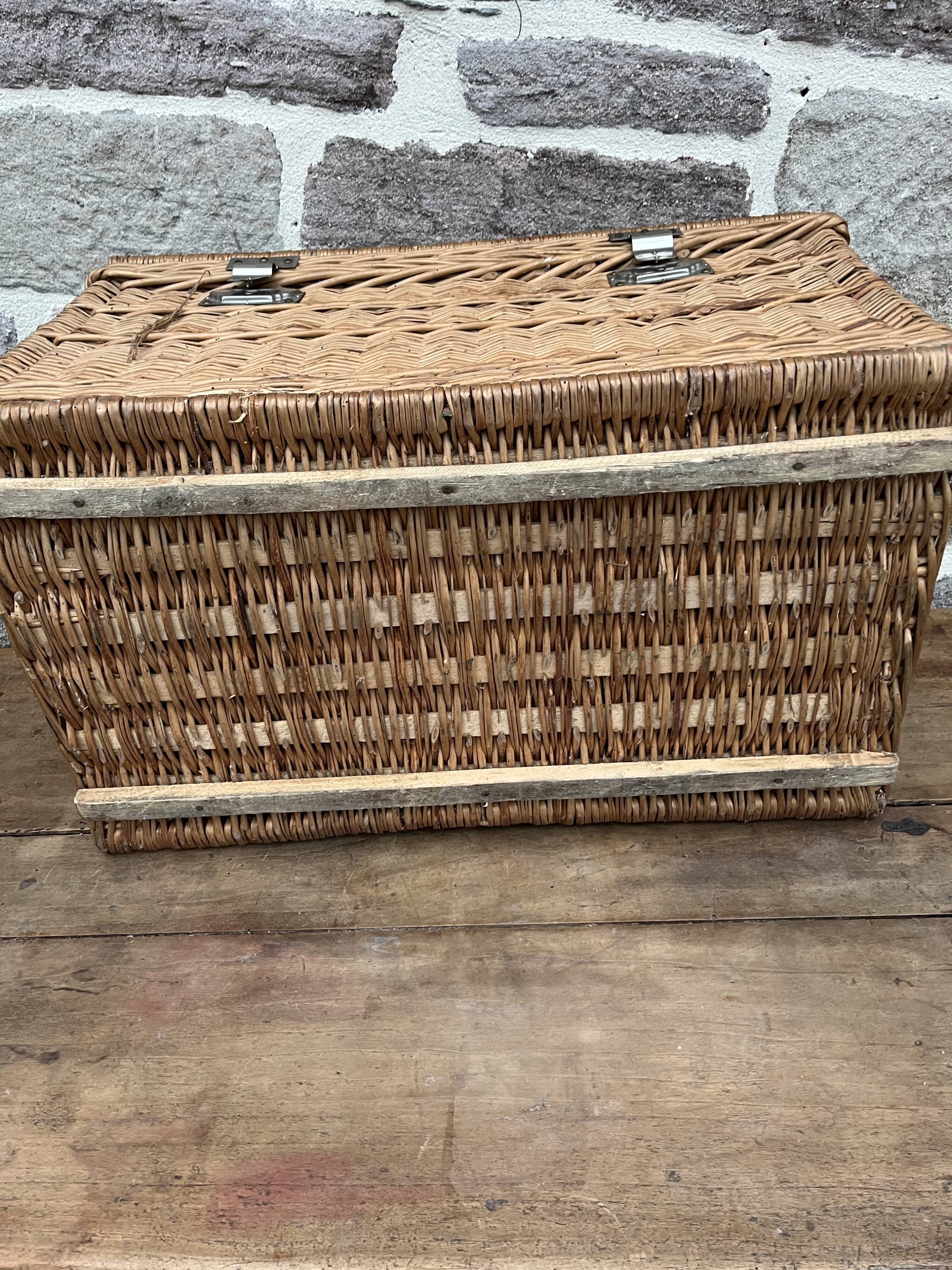 Wicker trunk