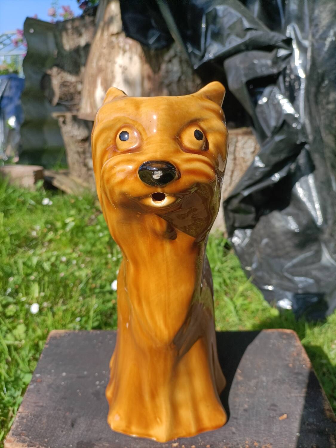 Retro Dog Pitcher/Carafe