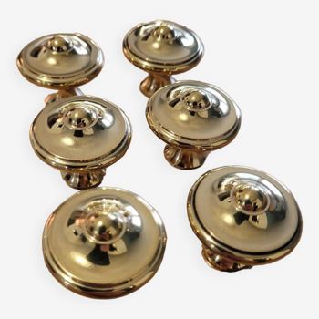 Polished brass furniture knobs