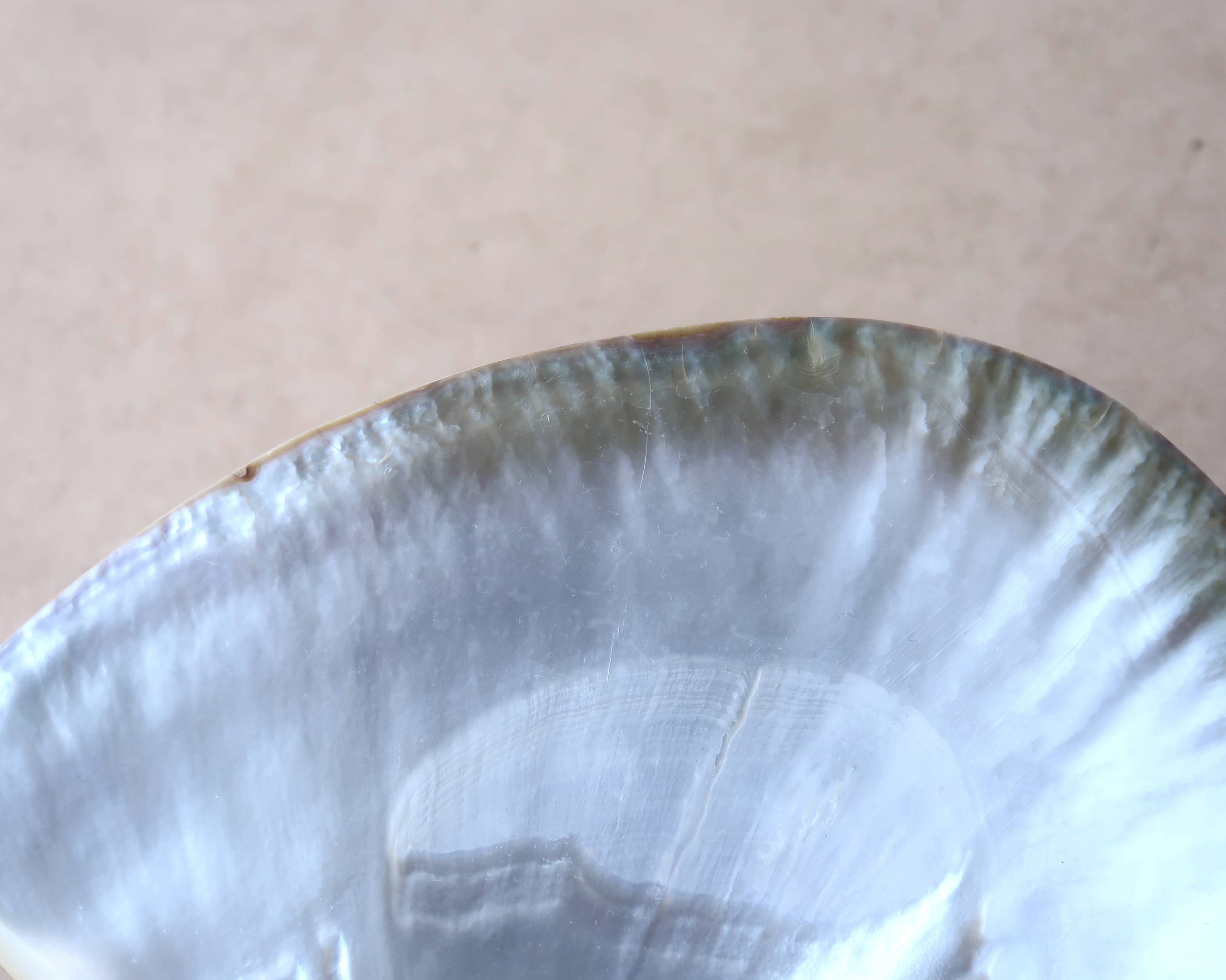 Natural pearl oyster mother-of-pearl pocket emptier, 1970s