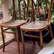 Paire de chaises de bistrot Bauman - Art nouveau