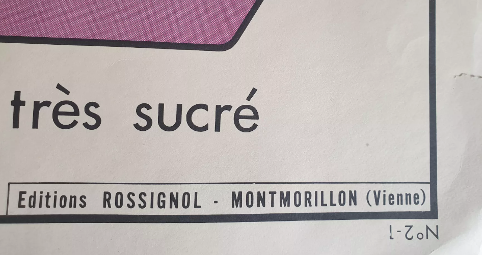 Vintage Rossignol educational display