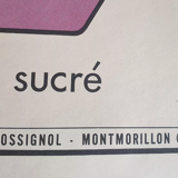 Vintage Rossignol educational display