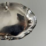 Shiny metal dish