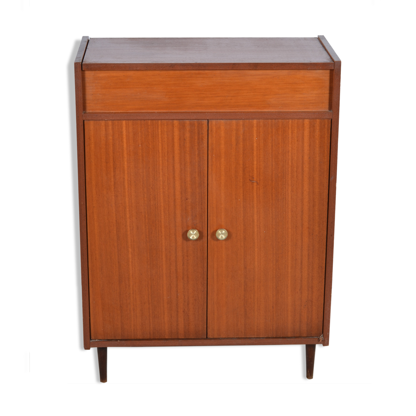 Shoe cabinet 2 doors and a chest