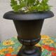 Médicis vase 1940
