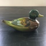 Empty duck pocket box