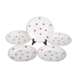 Assiettes creuses ceranord
