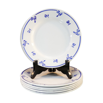 6 plates flat faience of digoin sarreguemines small blue flower