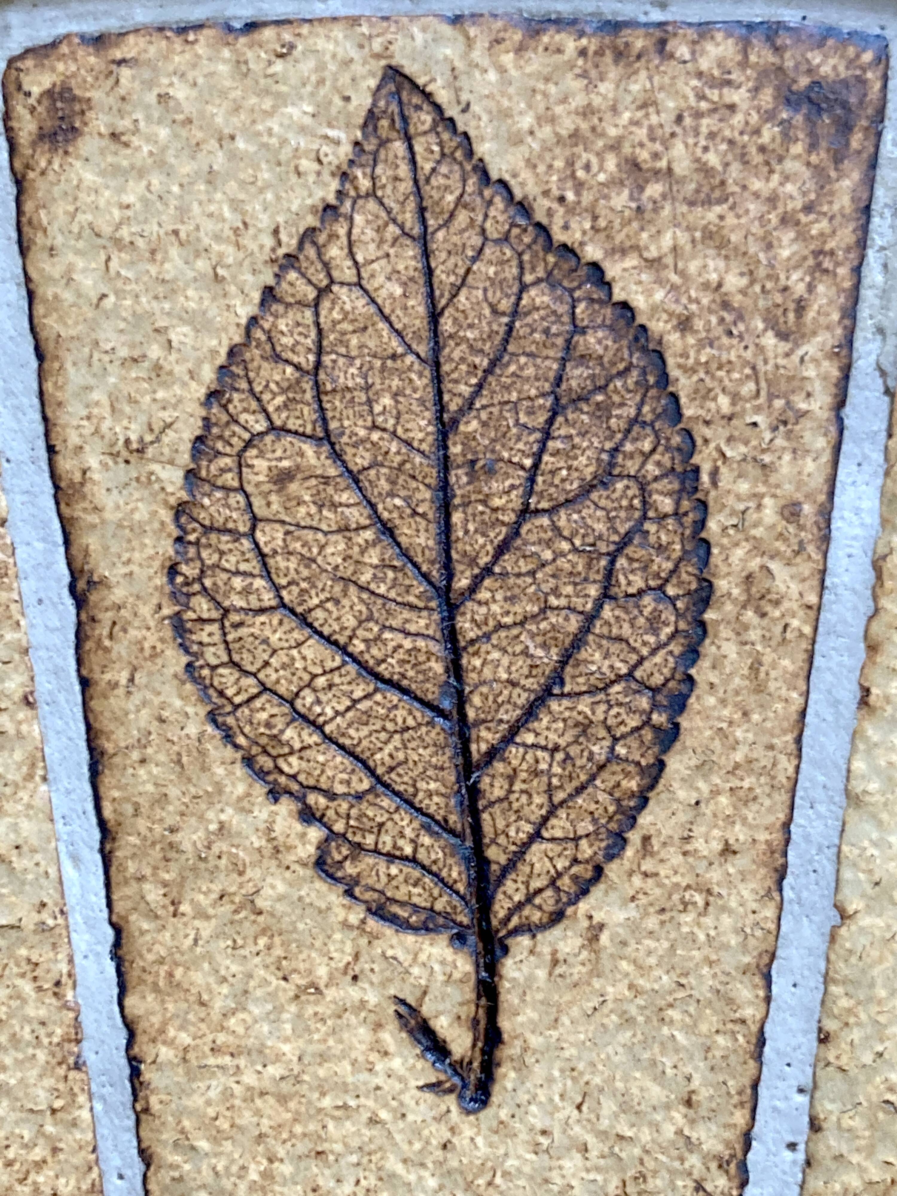 Round herbarium coffee table - Roger Capron