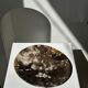 Dish in petrified wood