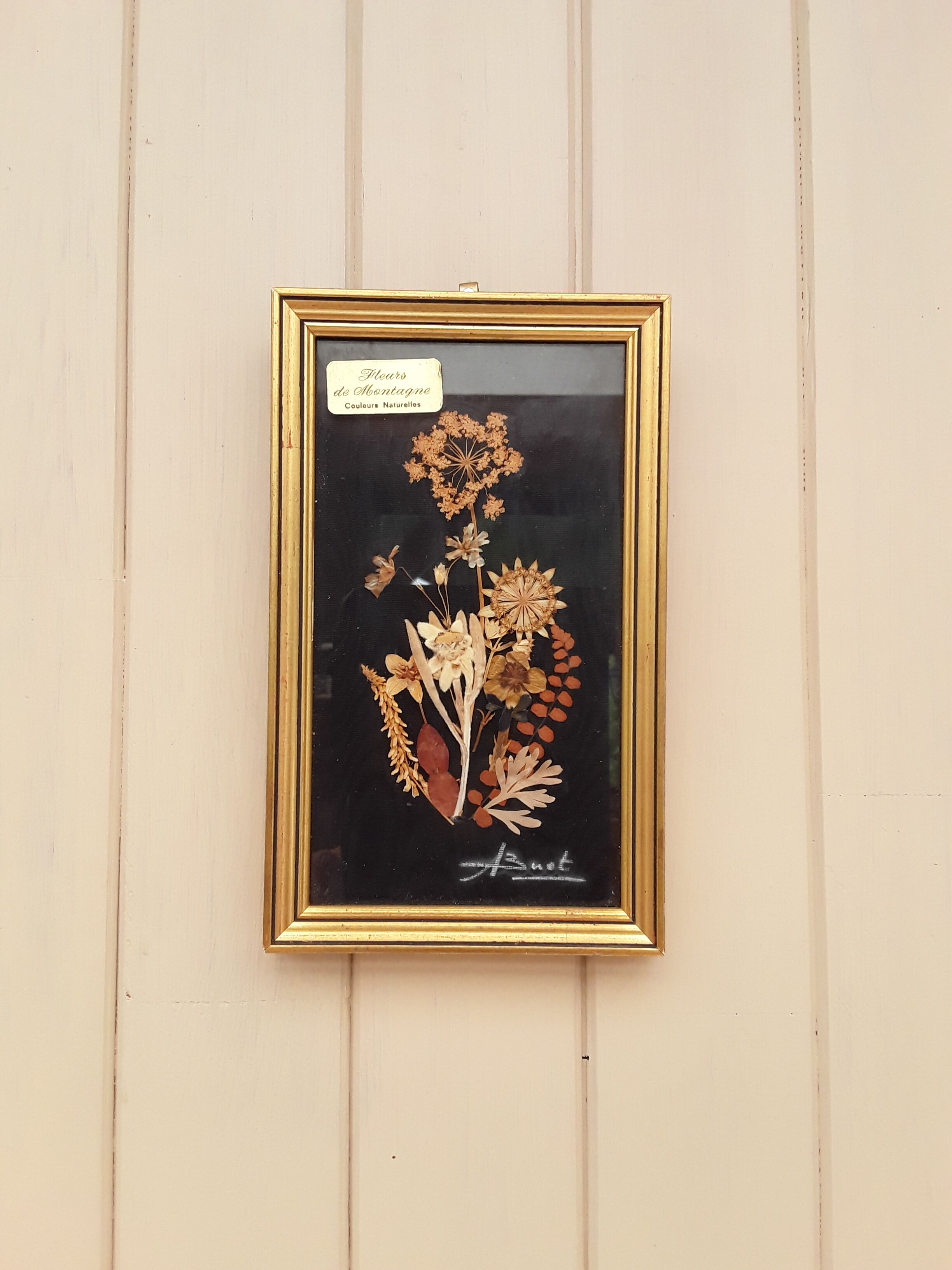 Painting dried flowers signed