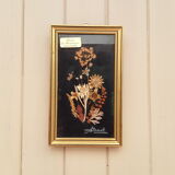Tableau fleurs séchées signé