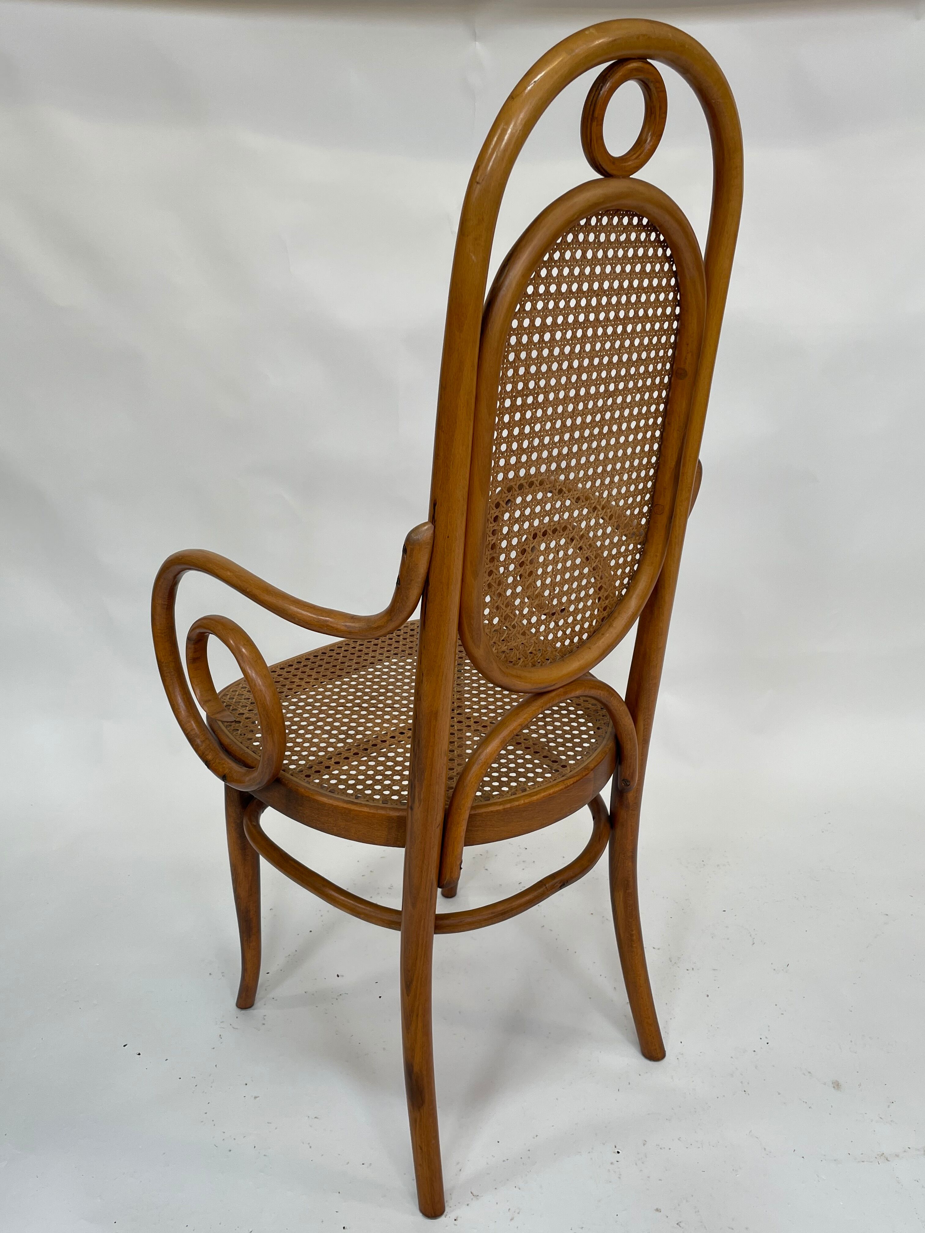 Sculptural bendwood side chair model