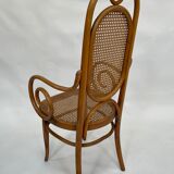 Sculptural bendwood side chair model