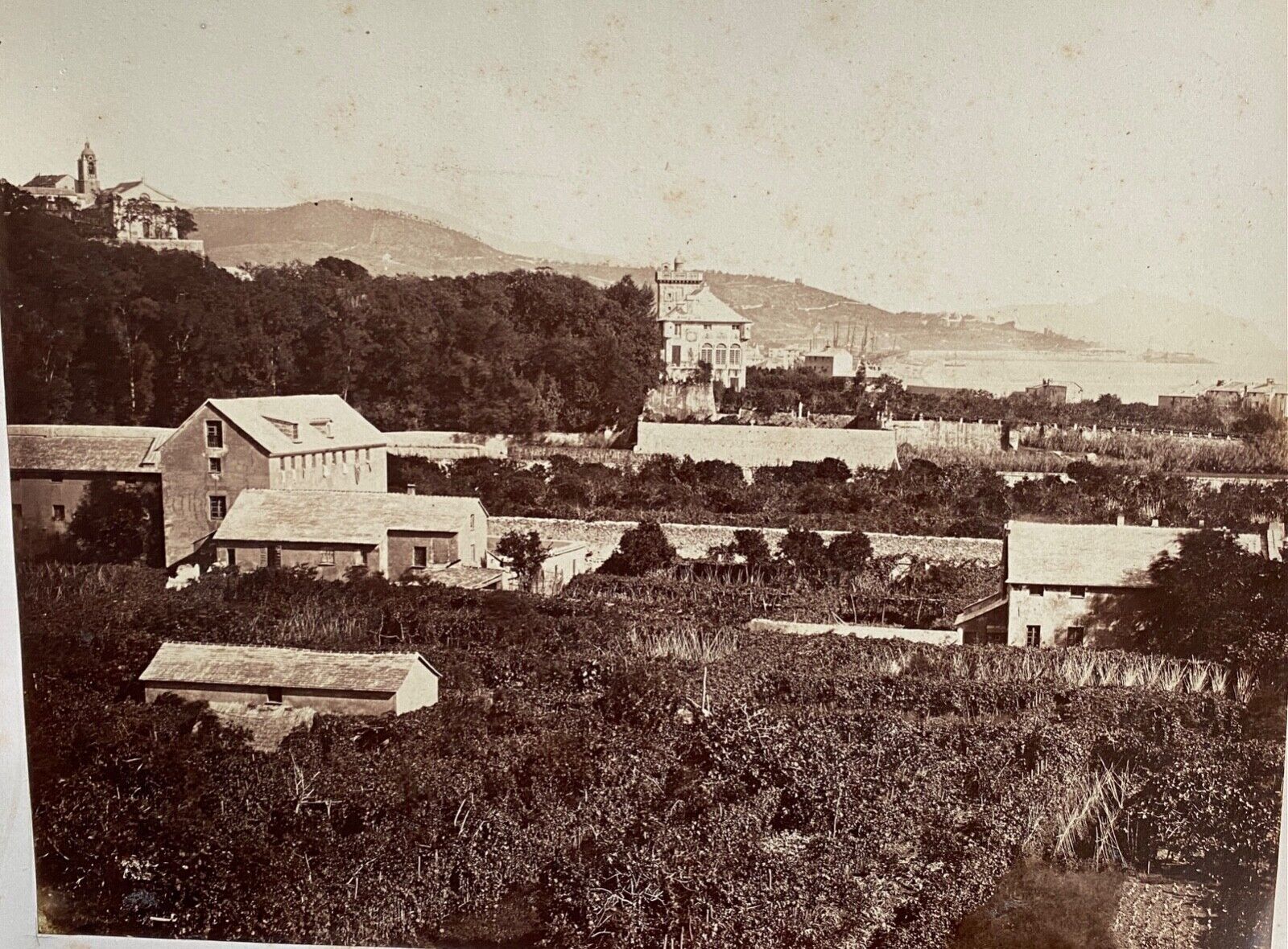 Photo around Genoa Villa Pallavicini XIXe Albumine