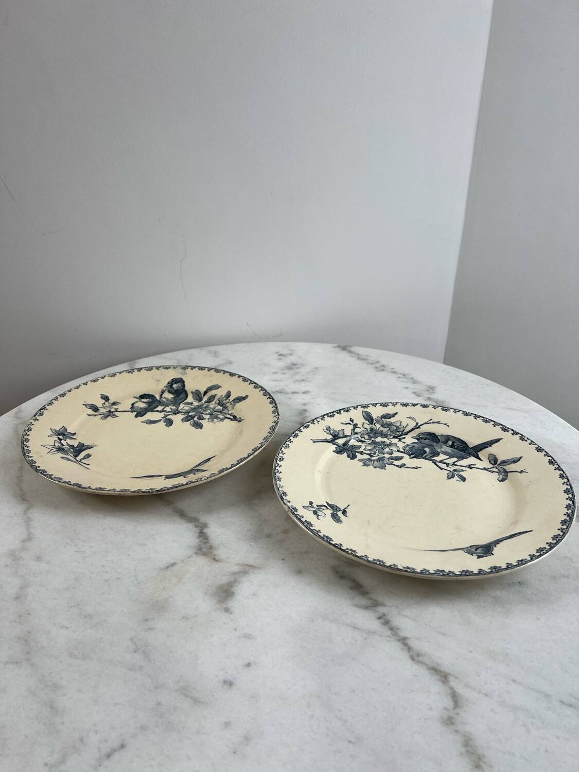 Set of two ironstone plates Sarreguemines Digoin favourite