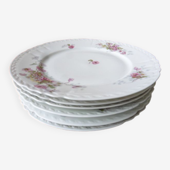 Lot de 6 assiettes plates porcelaine signée limoges ss france décor anémones et marguerites