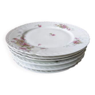 Lot de 6 assiettes plates porcelaine signée limoges ss france décor anémones et marguerites