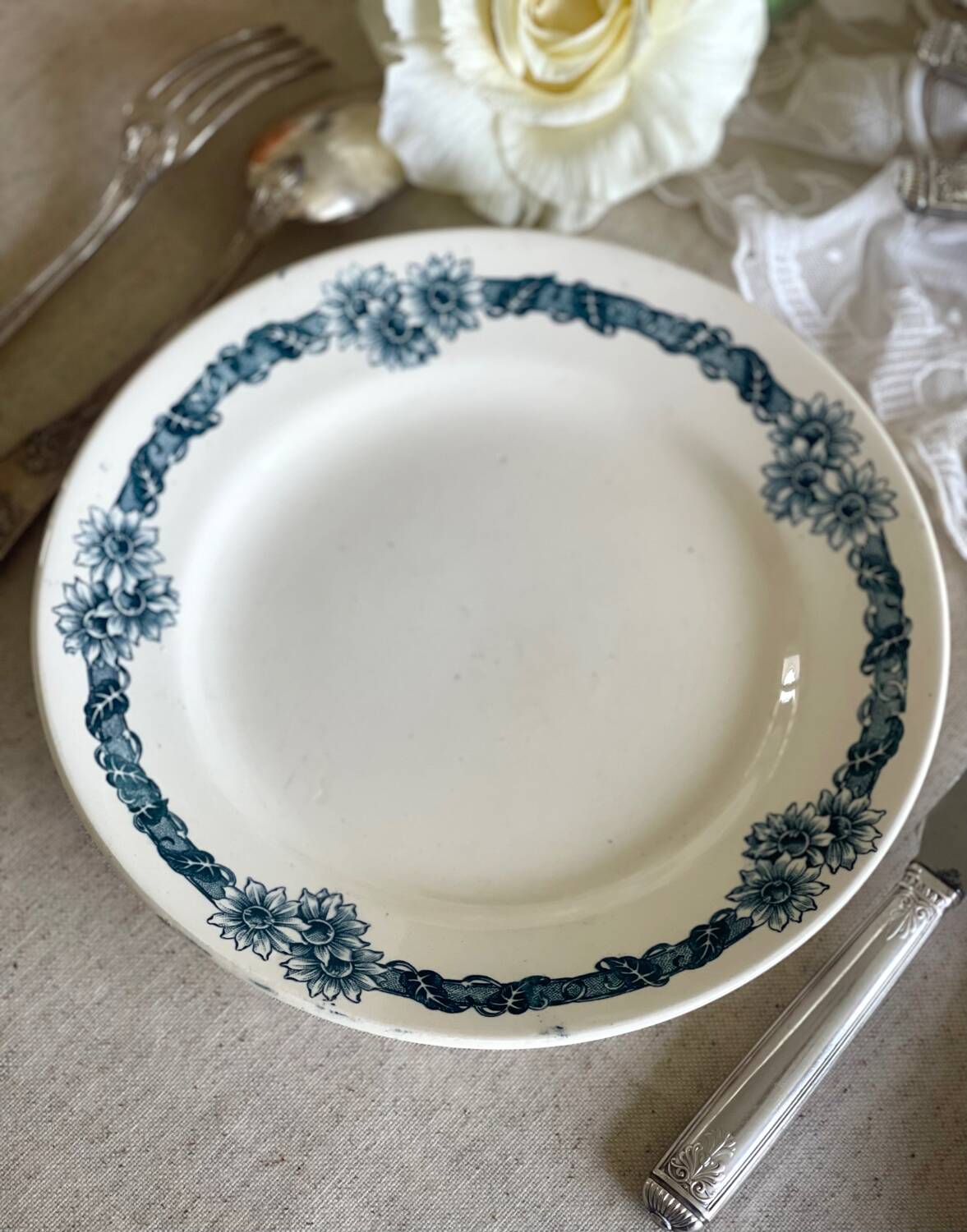 9 mismatched blue ironstone plates