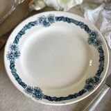 9 mismatched blue ironstone plates
