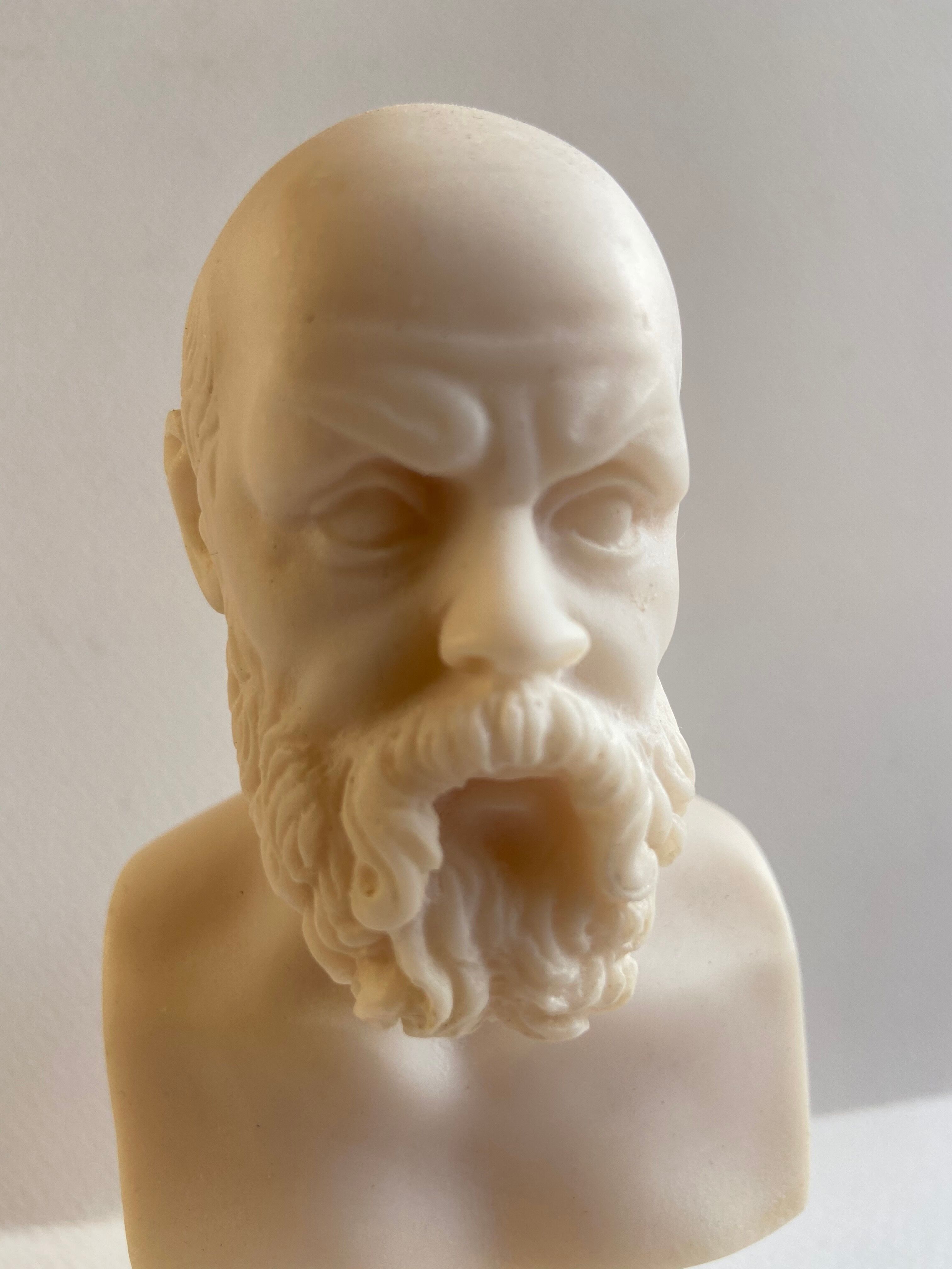 Bust of Socrates