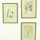 Set of 3 copperplate engravings from the famous book "Flora Batava, 1807"-1814