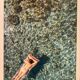 In the sea