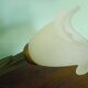 Chandelier of 5 corollas in white granite glass, central decoration with foliage 70s /80s