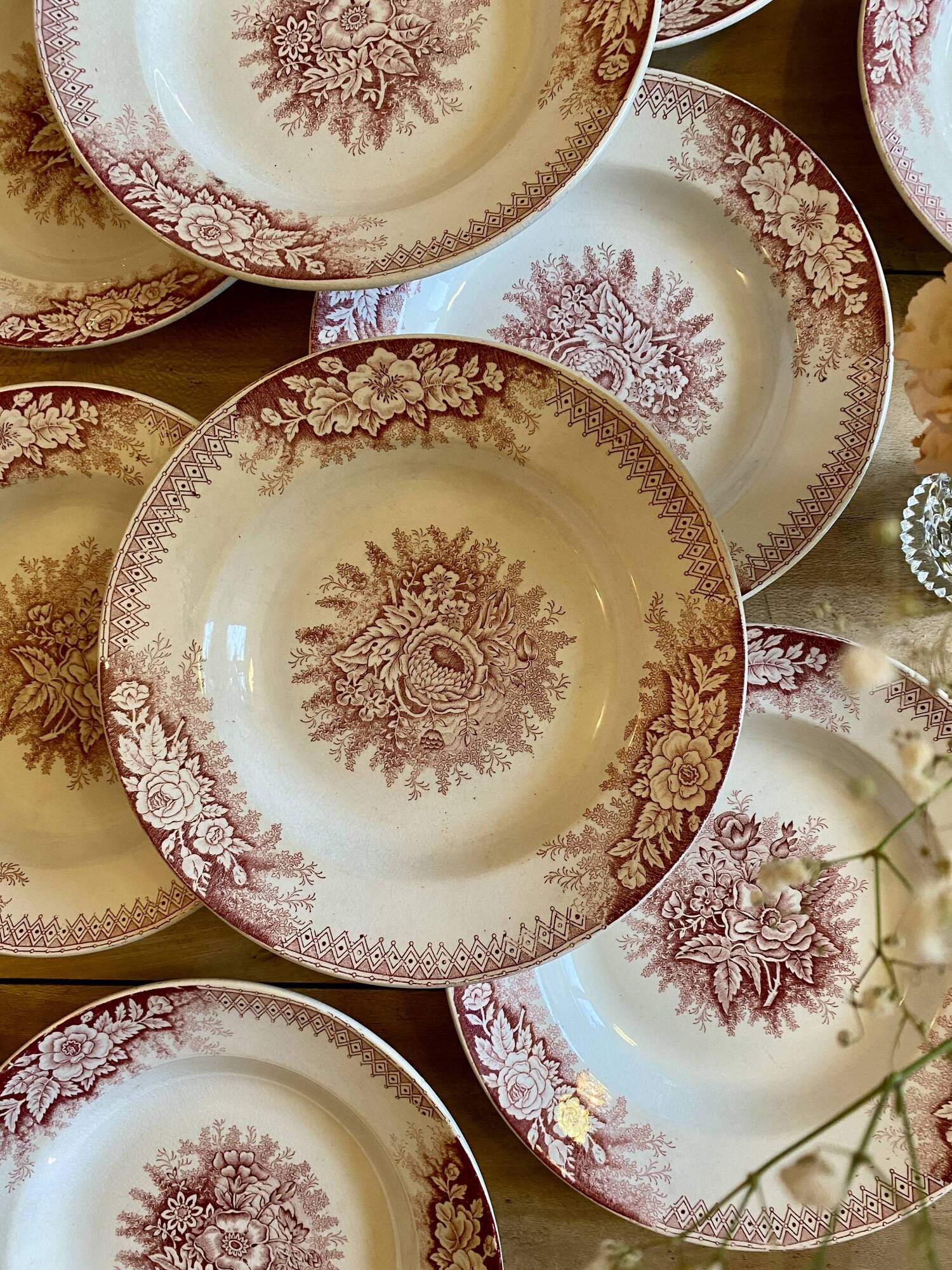 Set of 9 old ironstone hollow plates - Jardinière de Saint Amand