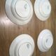 Lot 4 assiettes Terre de Fer Rameau Longchamp