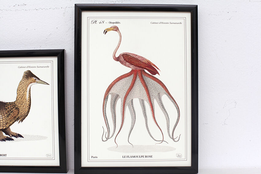 Set of 2 framed chimera lithography animal engraving