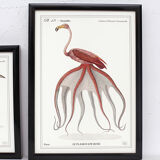 Set of 2 framed chimera lithography animal engraving