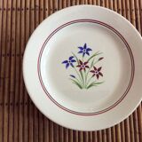 Set of 10 flat plates