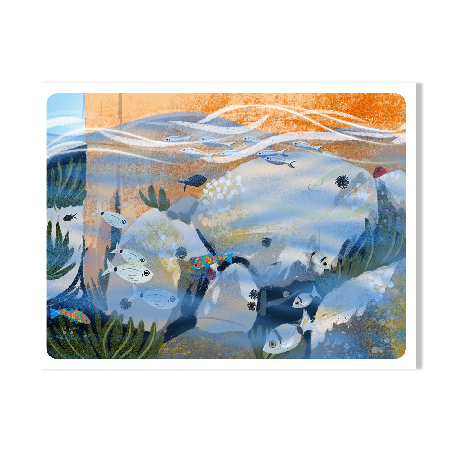 Illustration "Petit Bain" A4