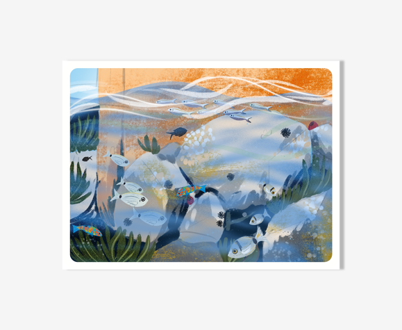 Illustration « Petit Bain » A4