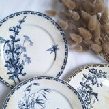 Vintage blue dinner plates